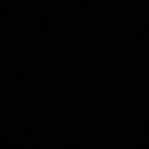 Meet your Posher, Haley - Picture 1 of 1